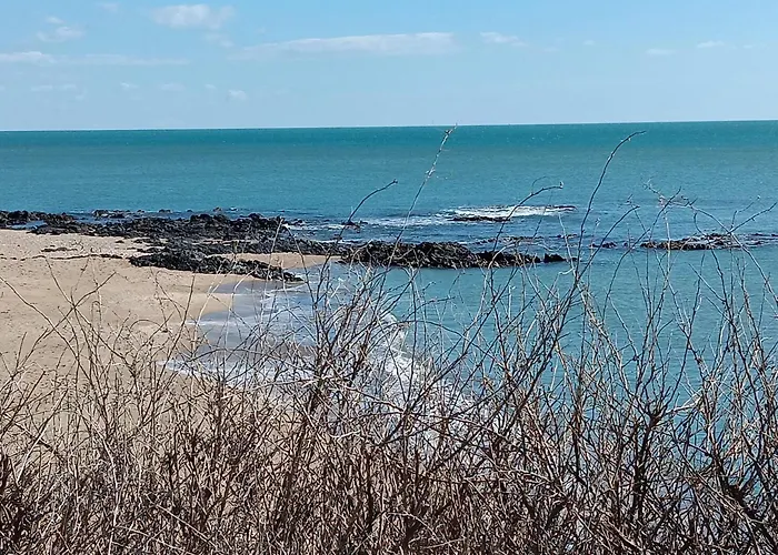 Lumineux A Avec Vue Sur La - 34 M²