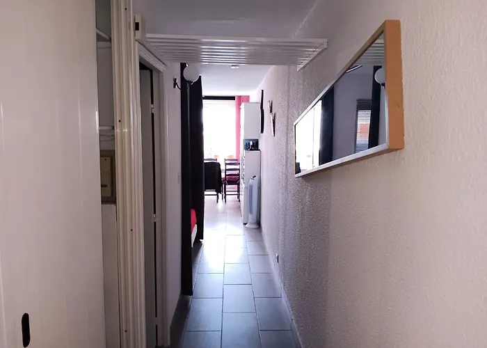 Lumineux A Avec Vue Sur La - 34 M²